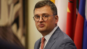 Ukrainian foreign minister agrees with Kremlin