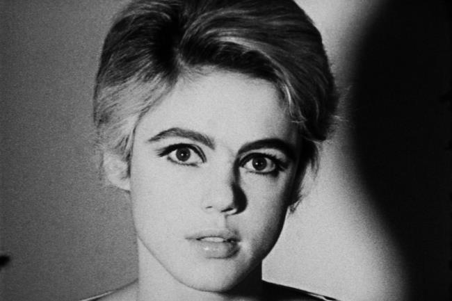 37-facts-a<em></em>bout-edie-sedgwick