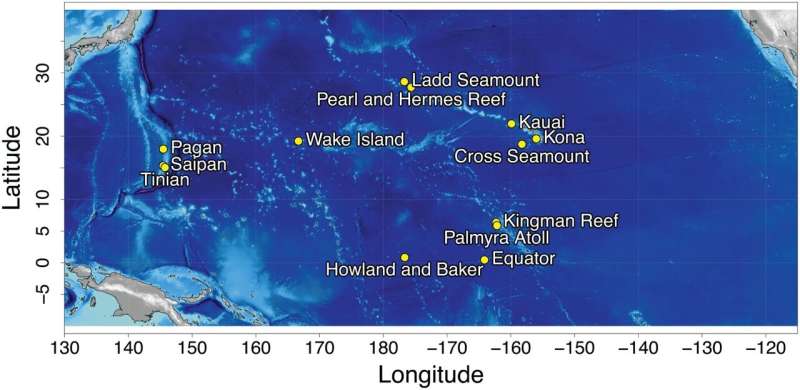 Mysterious Pacific Ocean sounds identified as a type of whale— a new AI app helps track them