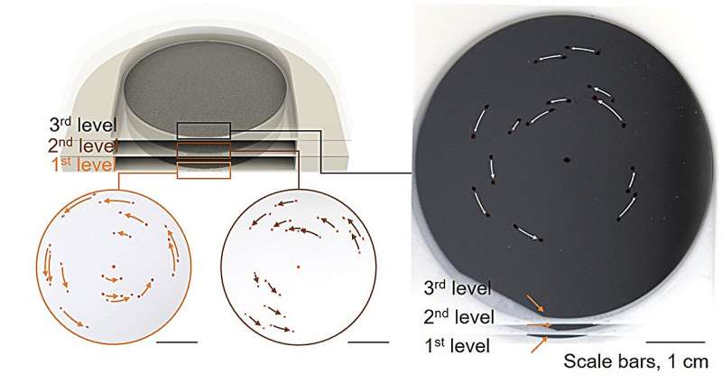 Magnetic Micro Spinbots Revolutio<em></em>nize Ultraprecision Polishing and Cleaning