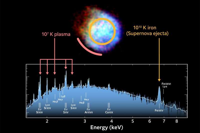 XRISM unveils black hole and supernova remnant surroundings