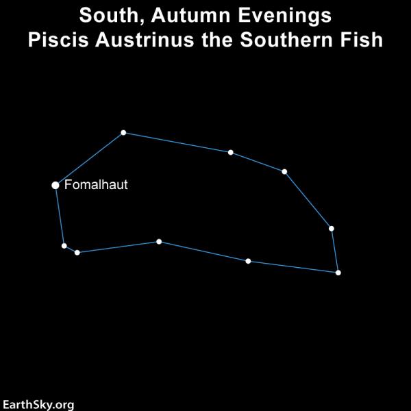 Star chart outlining a blob-like shape with 1 star, Fomalhaut, labeled.