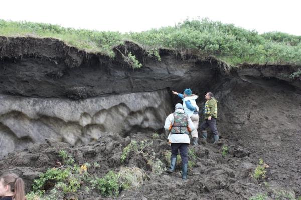 A researcher points out an ice wedge in an exposed permafrost deposit as two colleagues look on