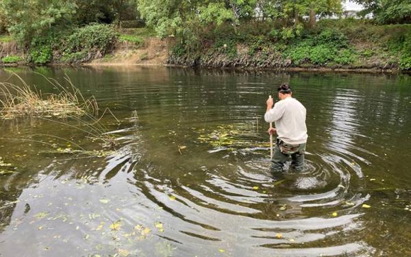 Person wading in River Lea Lo<em></em>ndon to collect data