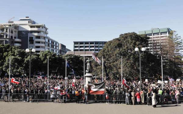 Thousands attended the Budget Day hīkoi protest in Wellington which ended up at Parliament.