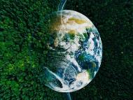 Guha successfully established that the seductive belief of enviro<em></em>nment movements being the solitary co<em></em>ncern of rich countries is misplaced and incorrect. (Shutterstock)