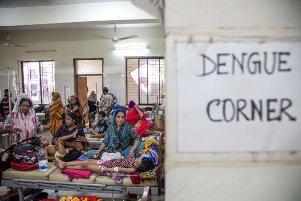 Bangladesh faces second-deadliest dengue outbreak amid climate, political crises