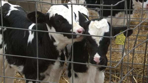 Farmers have expressed co<em></em>ncerns that a new inheritance tax relief of one-million pounds for farms will mean they'll be forced to sell land in order to pay the tax