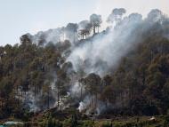 Nearly 11.34 per cent area of forest cover and scrub in India is categorised under extremely to very highly fire prone zone, which also includes Uttarakhand. (PTI)