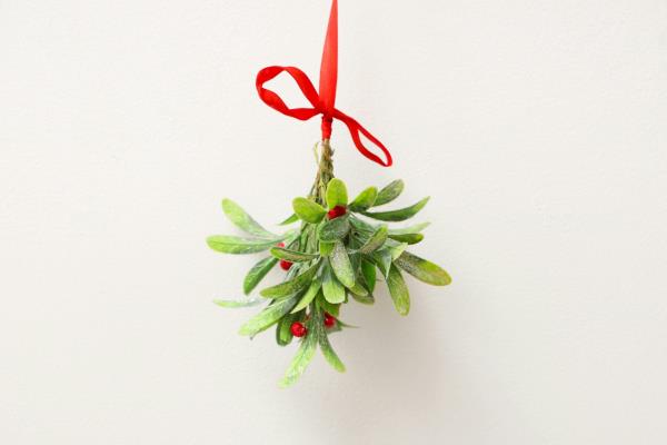 Mistletoe hanging from a red ribbon.