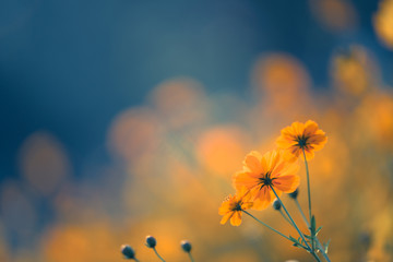 新机皇遭吐槽 三星GALAXY SIII另类解析