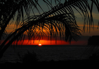 我国实行对外开放的根本目的是