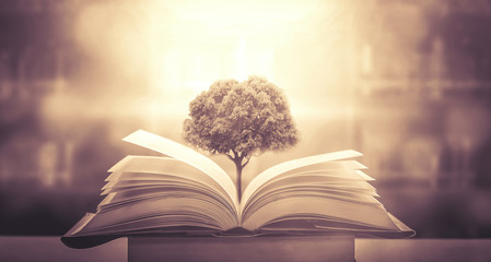 小对象生气了怎么哄