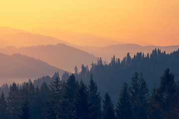 微尘什么意思？