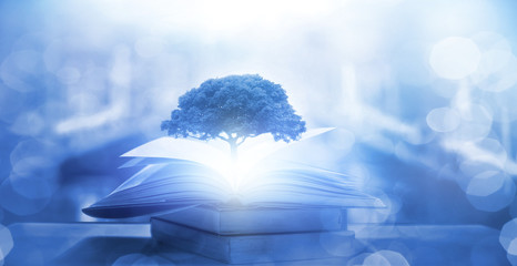 我国实行对外开放的根本目的是