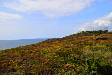 外星人电脑是什么牌子