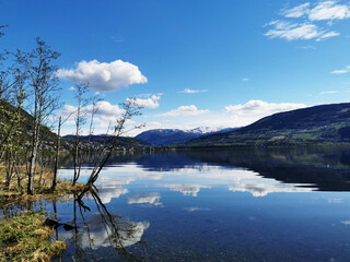 探探为什么匹配不到人