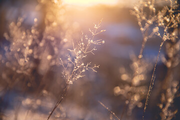外星人电脑是什么牌子