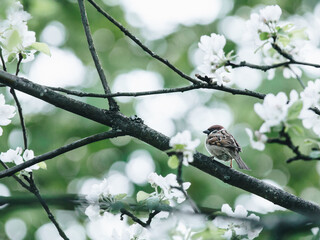 贴吧怎么发帖子