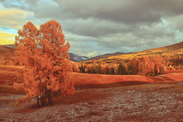 小对象生气了怎么哄