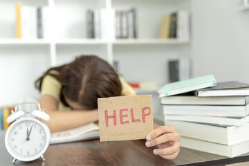 一批法律法规下月起施行！