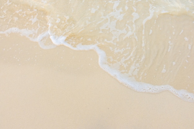 张必清教授：要让每个家庭都有一名懂健康的人？