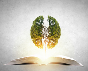 我国实行对外开放的根本目的是