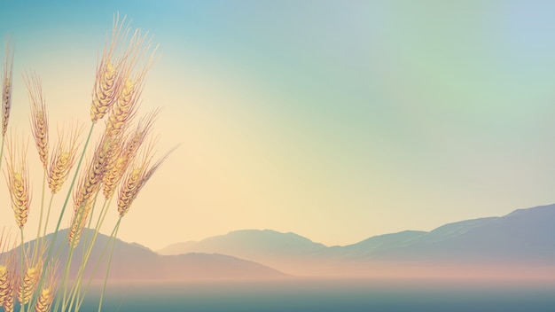 贴吧怎么发帖子